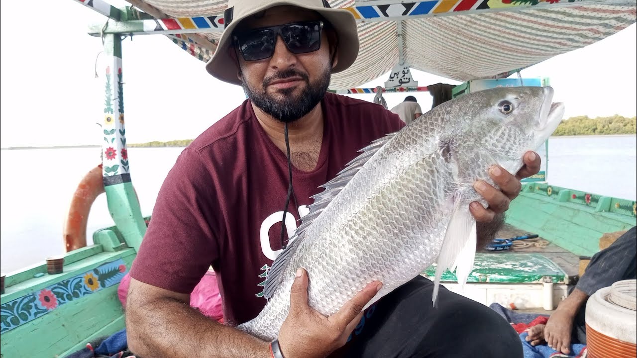 mangrove fishing in karachi | fishing in karachi #karachifishing 