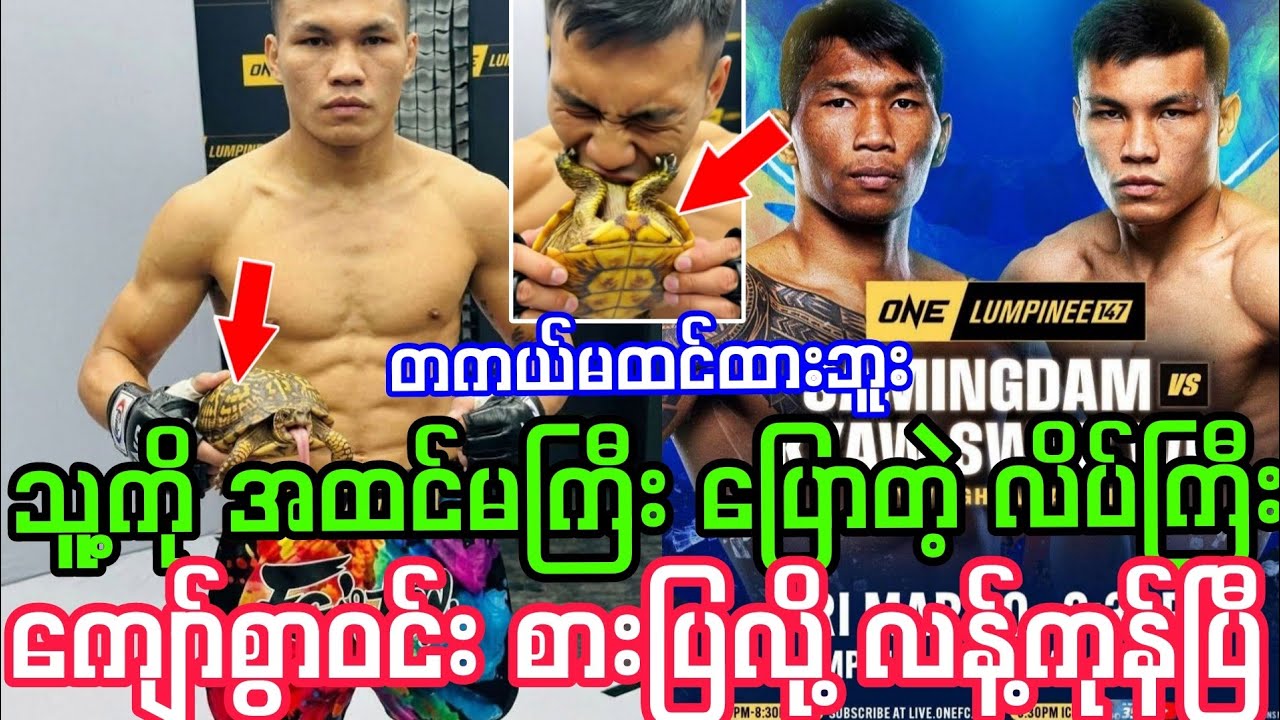 ပွဲတောင်မထိုးရသေးဘူး ကျော်စွာဝင်း နဲ့ ဆမီဒမ် ချကုန်ပြီ။ လိပ်ကို ကျော်ကြီး အစိမ်းစားပြီဟေ့