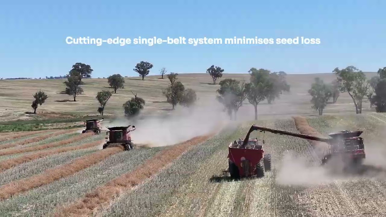 Knuckey's Revolutionary Maxi Turbo Auger: Redefining Harvest Efficiency