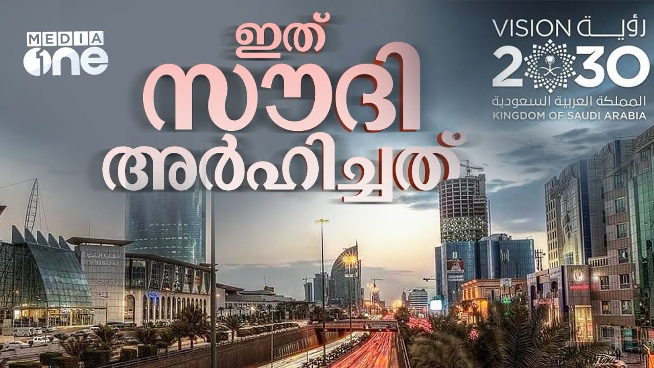സൗദിക്ക് ഇനി പെട്രോൾ ഇല്ലാതെ പിടിച്ചു നിൽക്കാം | Vision 2030 Highlights | Saudi Story