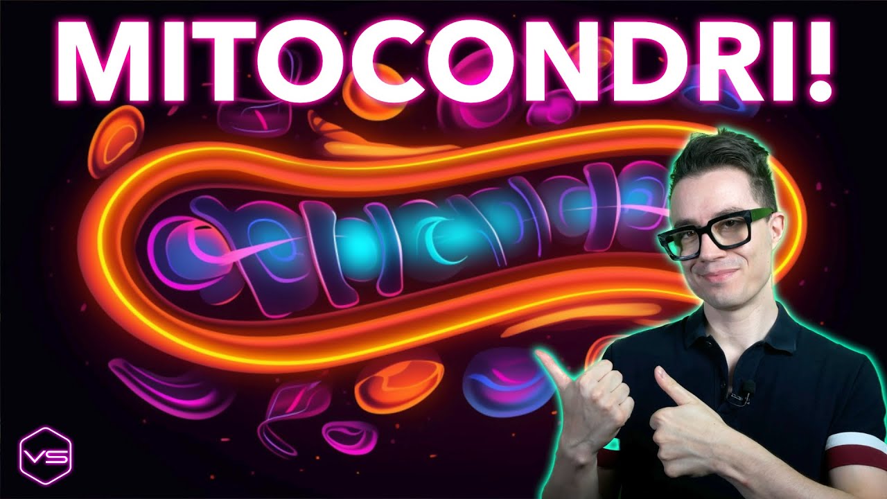 MITOCONDRI: Ecco Come Nutrirli!