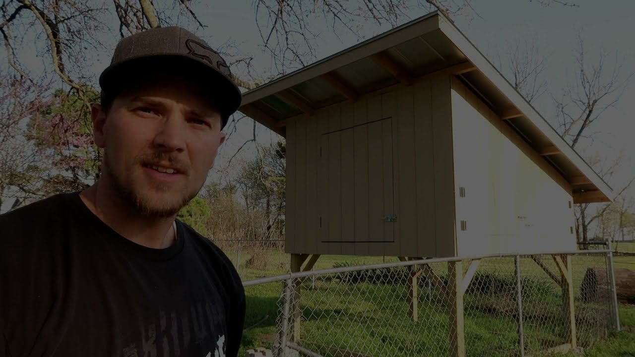 Building a Modern Chicken Coop while Trying to Save $$ on Materials