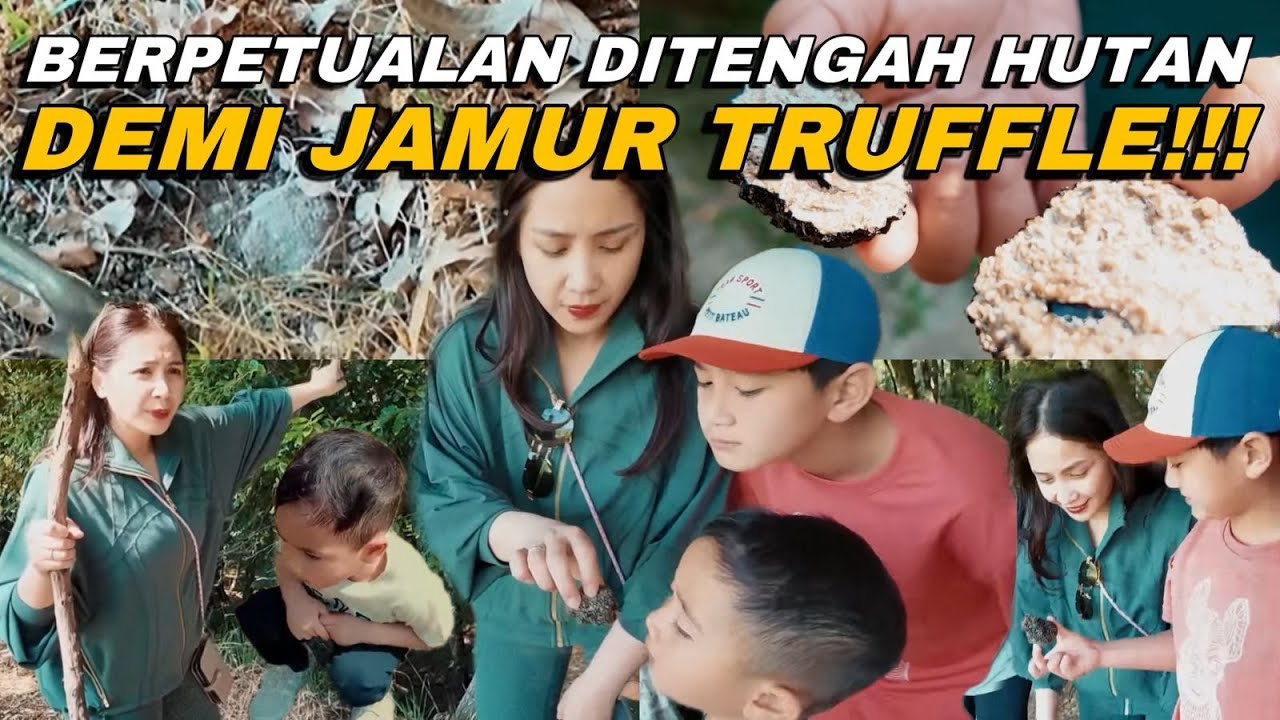 HUNTING JAMUR TRUFFLE DI ITALY!!! NAGITA PERDANA MASUK KE TENGAH HUTAN!!!