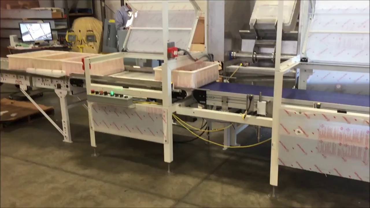 CHL Automated Tote Dumper