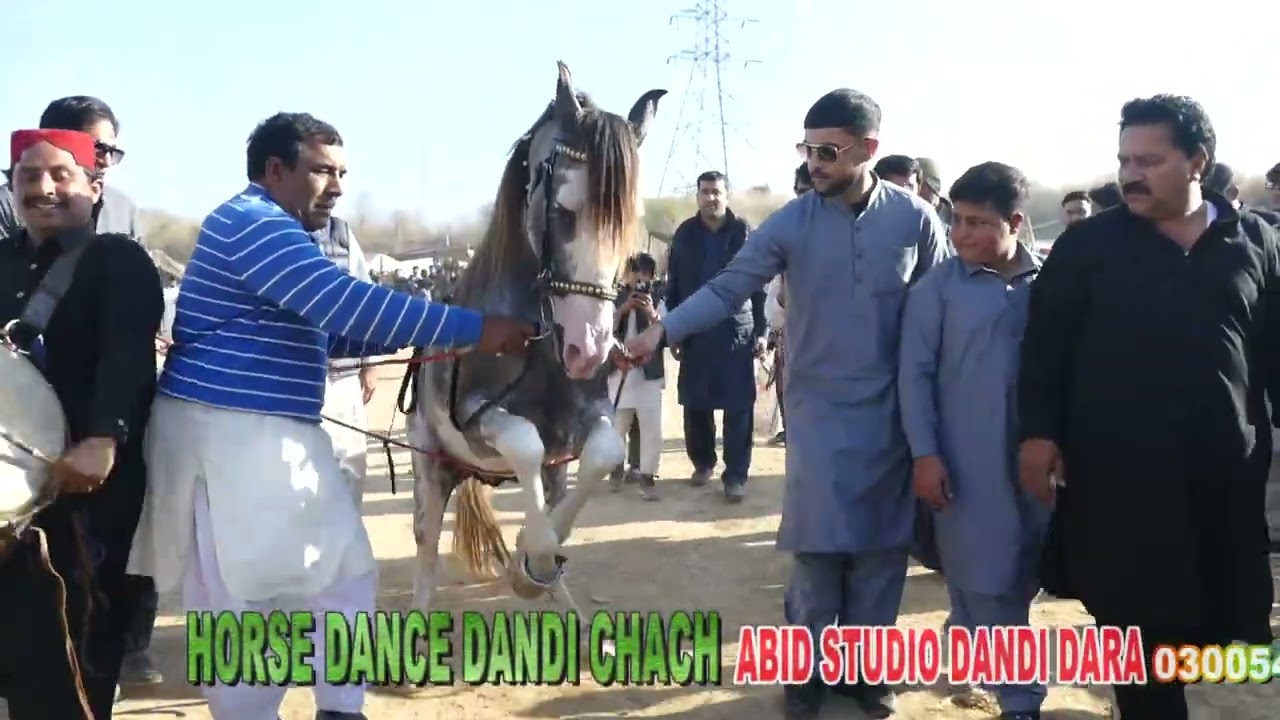 HORSE DANCE DANDI CHACH