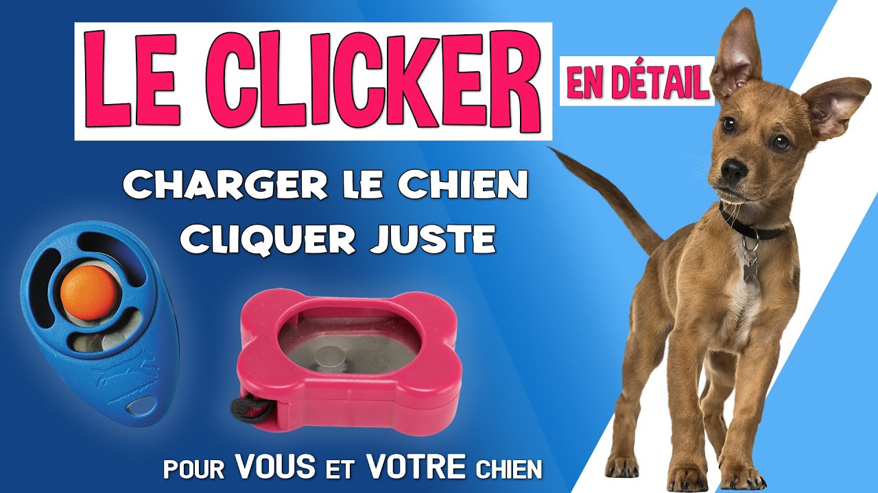 APPRENDRE LE CLICKER