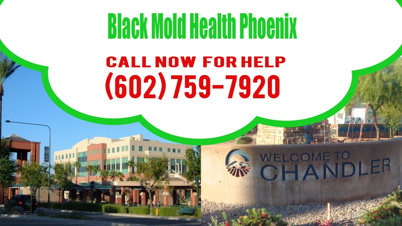 Black Mold Health Phoenix (602) 759-7920