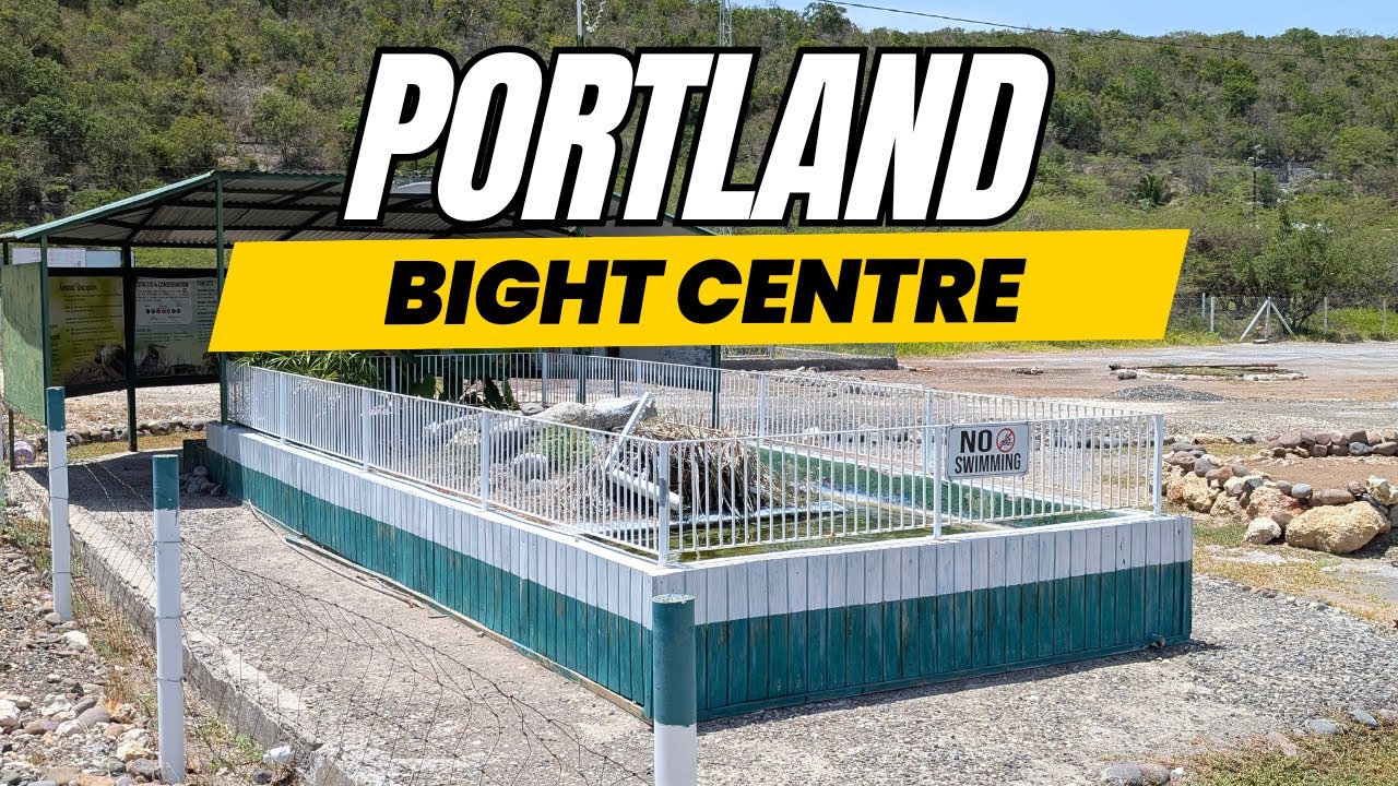Jamaica's HOTTEST Parish has a Secret! 🤫 Visiting Portland Bight Centre (Largest Nature Reserve)