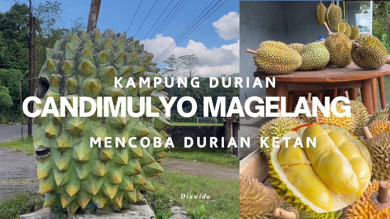 DURIAN KETAN KHAS CANDIMULYO MAGELANG