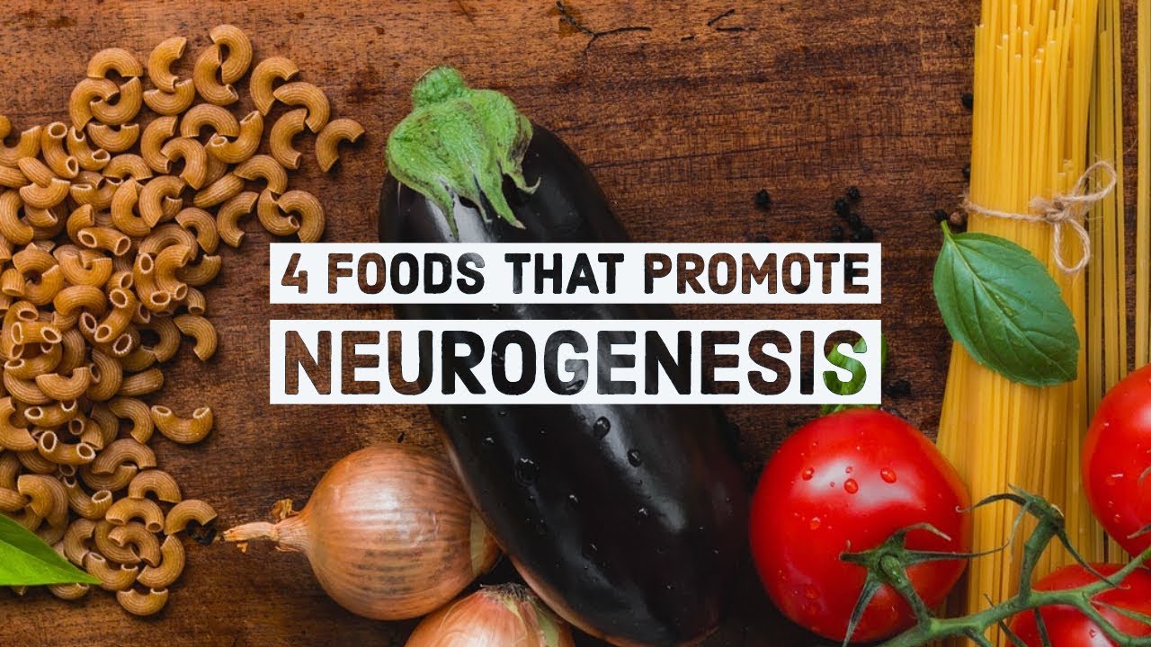 4 Foods that Promote Neurogenesis