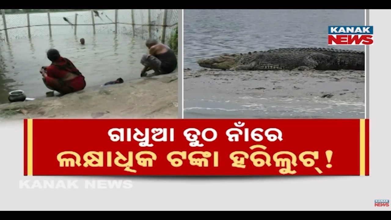 Poor Quality Construction Exposed After Crocodile Attack at River Ghat In  Rajnagar