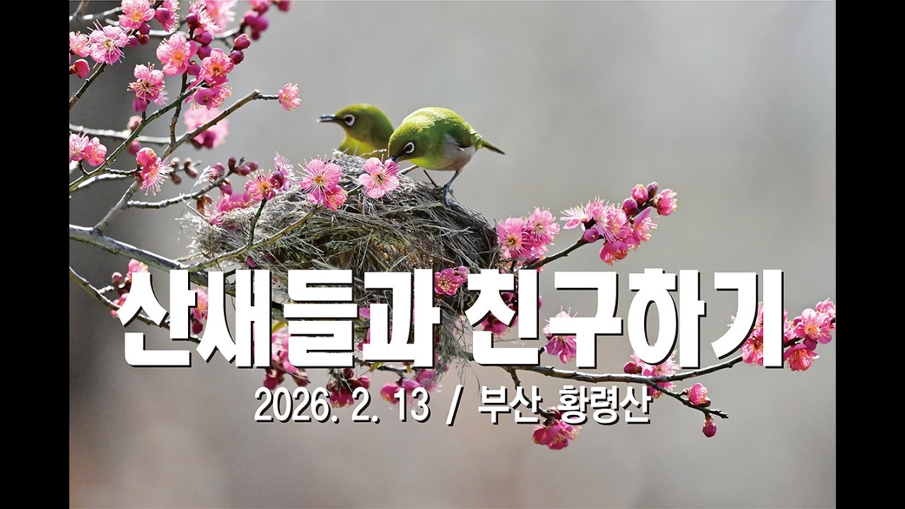 2602013 산새들과 친구하기