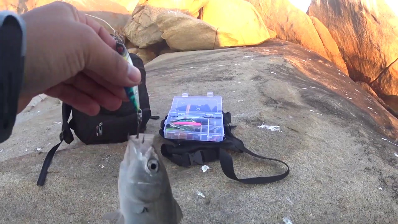 PESCA  en ROCAS
