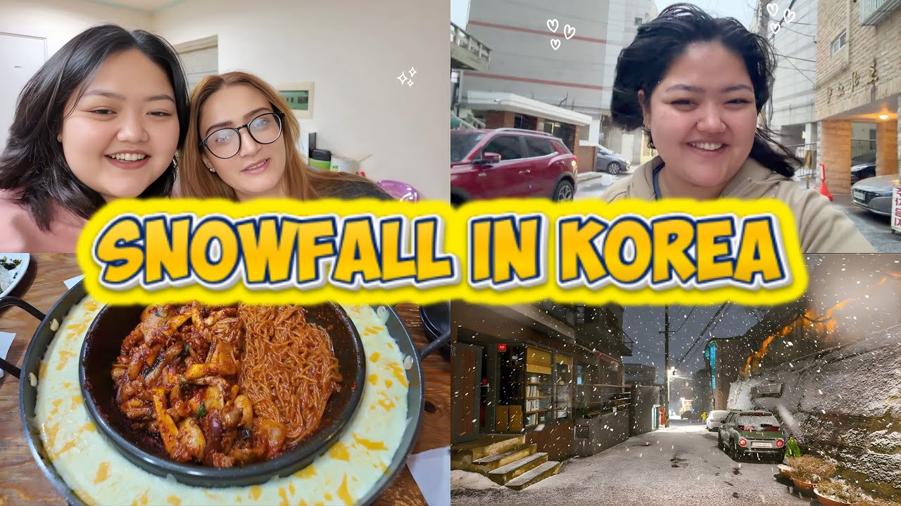Korea Ki Pehli Snowfall ⛄️| Girls Night With Laraib 🥰| Desi Korean 