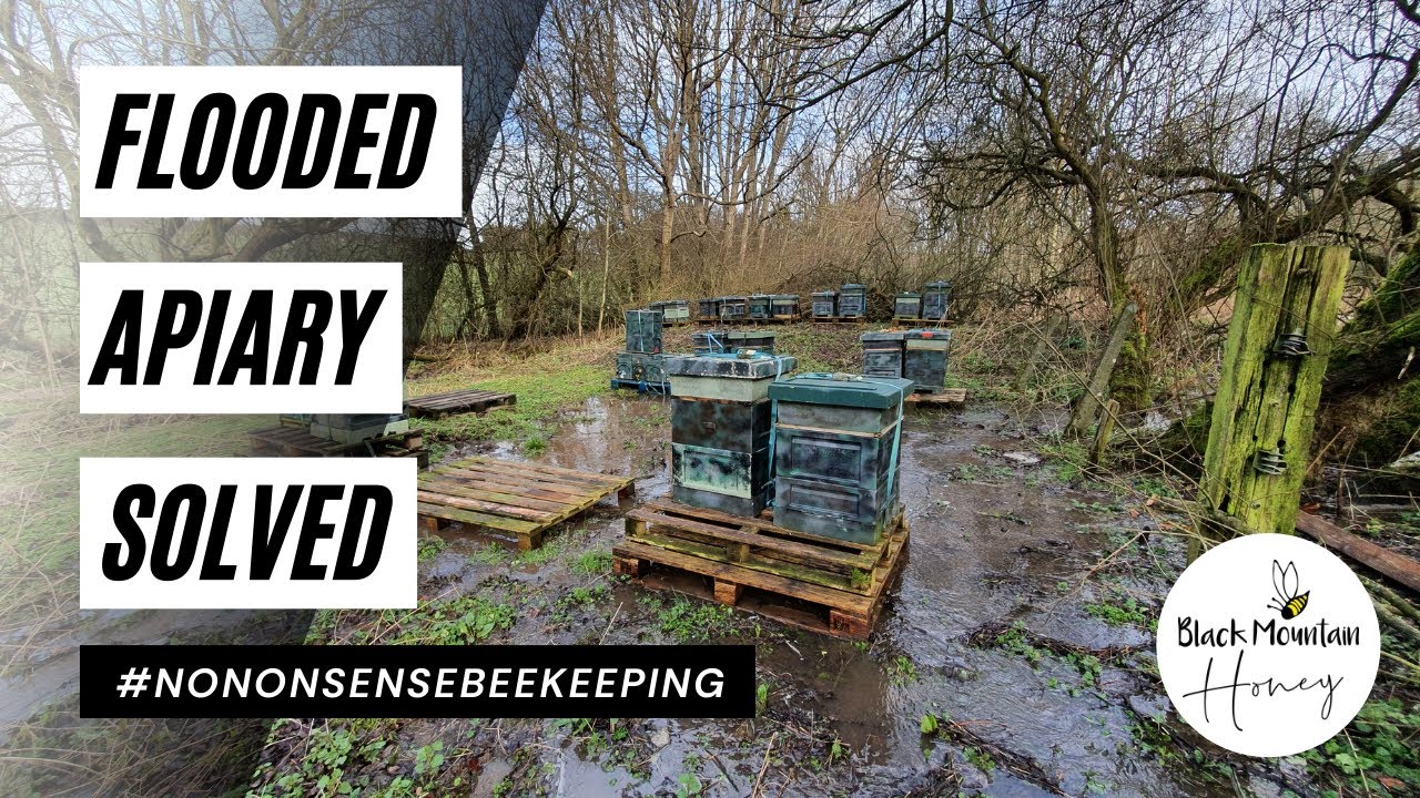 Flooded Apiary - SOLVED