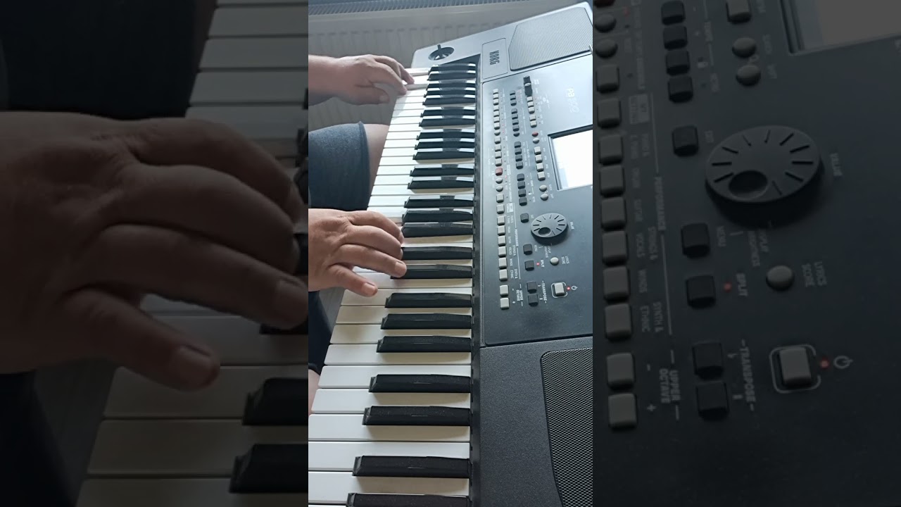 Korg pa 300. Biały miś.
