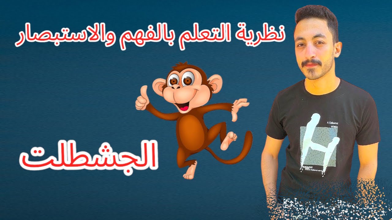 نظرية التعلم بالفهم والاستبصار
