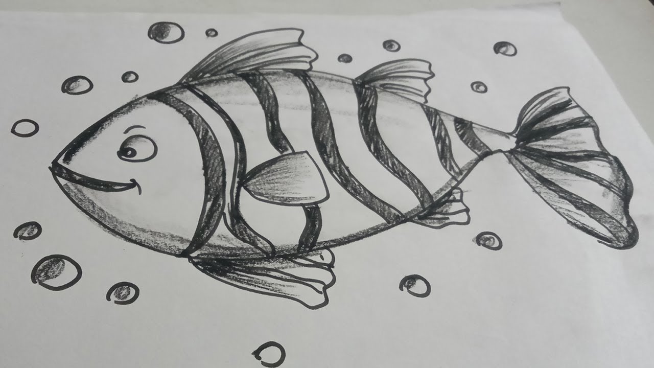 How to shade Sea Fish with charcoal pencil