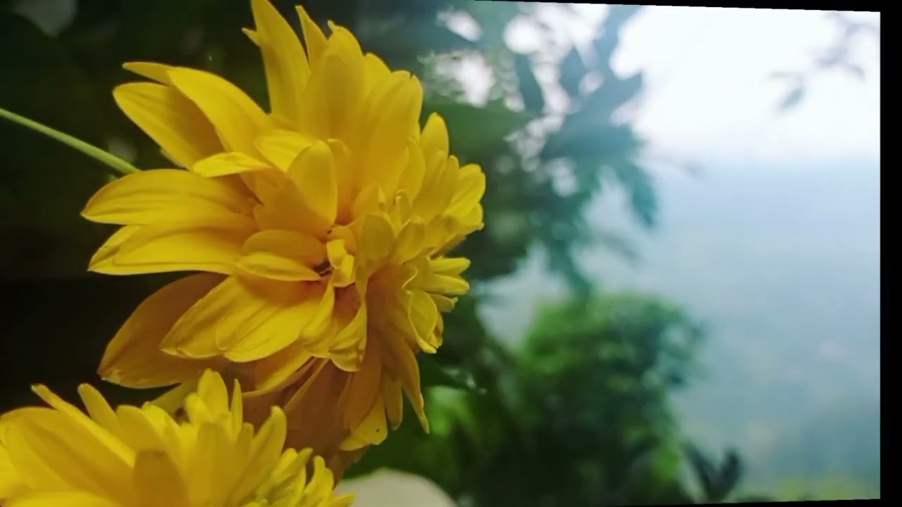 Non copyright Garhwali song