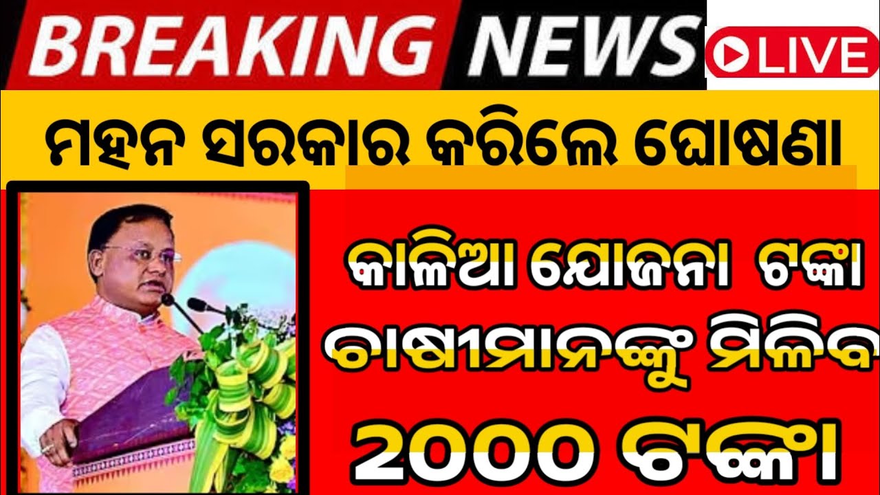 Kalia yojana New update || kalia Yojana || CM Kisan yojana New update || CM Kisan yojana|| KALIA TV 