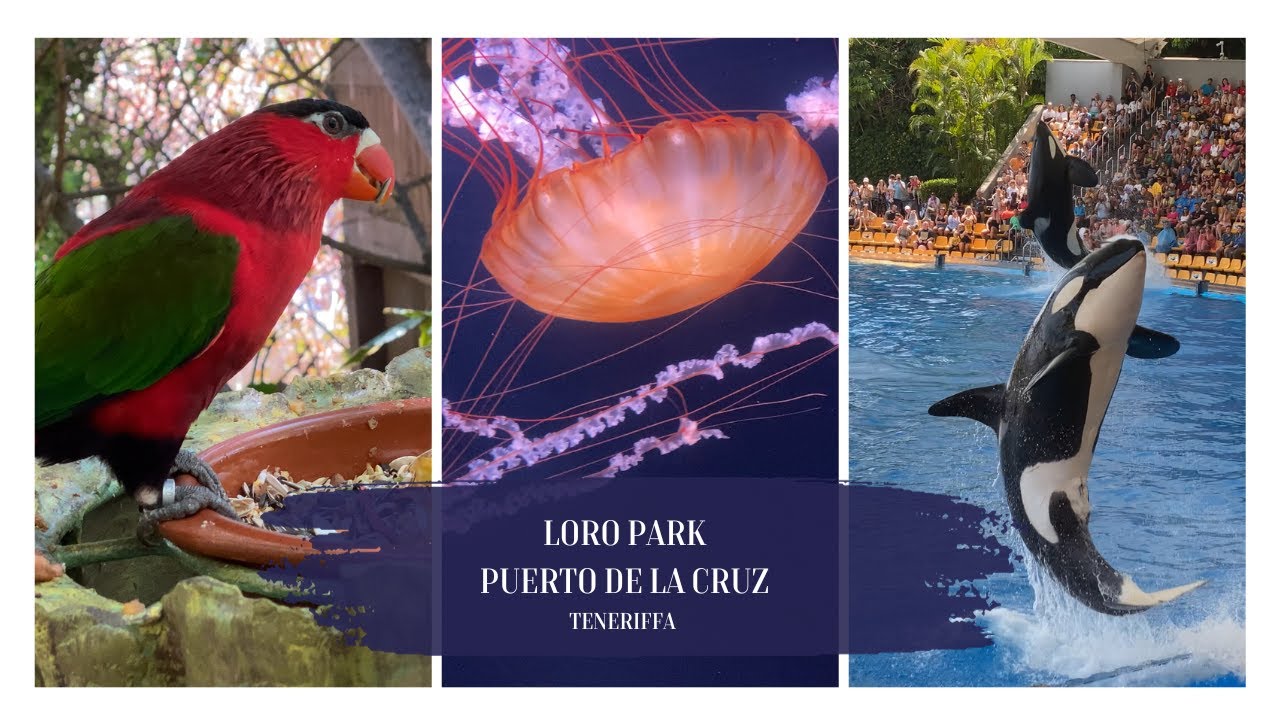 Loro Park - Teneriffa | Eine erstaunliche Vielfalt an exotischen Tieren