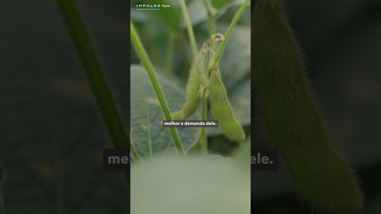 Bayer: inovação no campo | Impulso Minuto