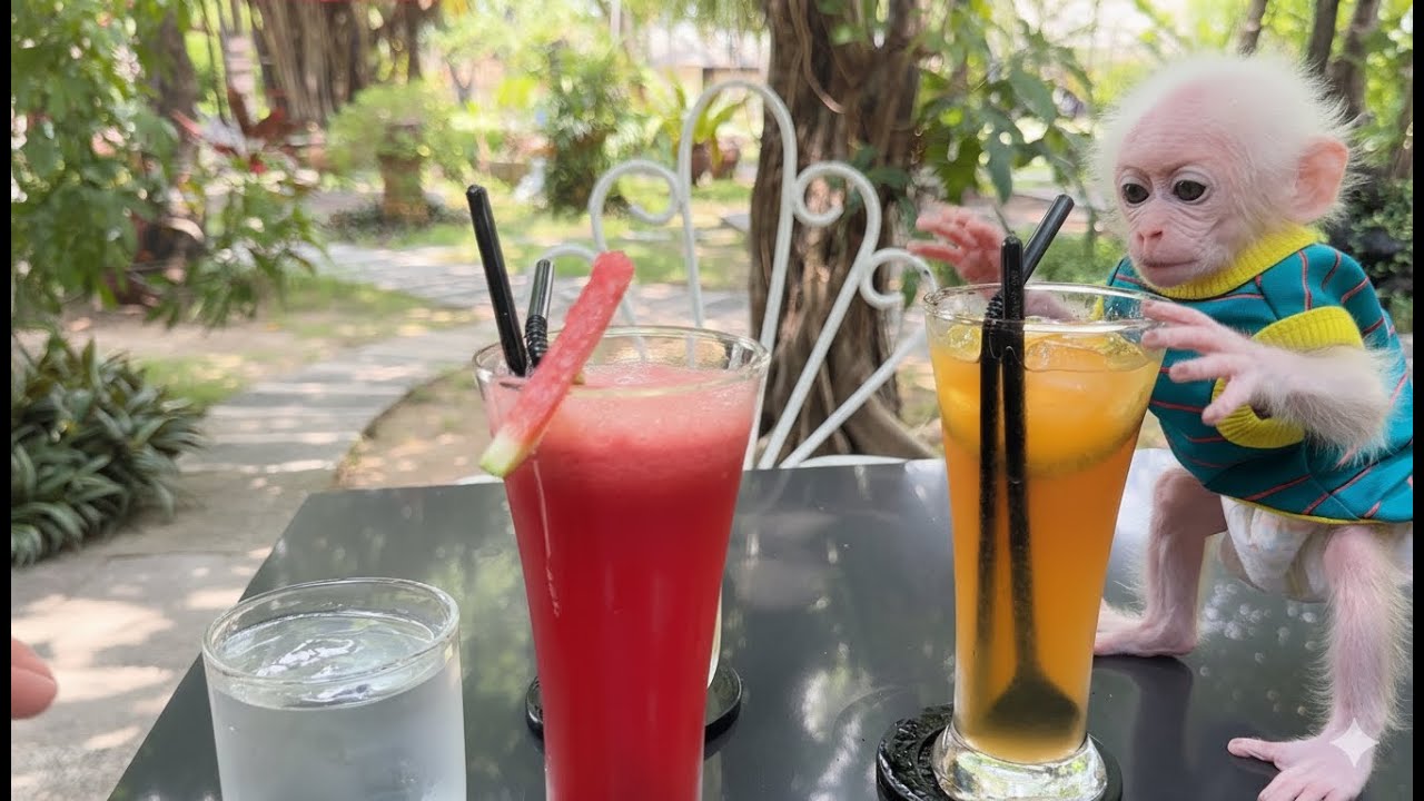 Weekend vibes! Luna & Sam Sam go on a “date” with Dad — giggles and drinks nonstop!