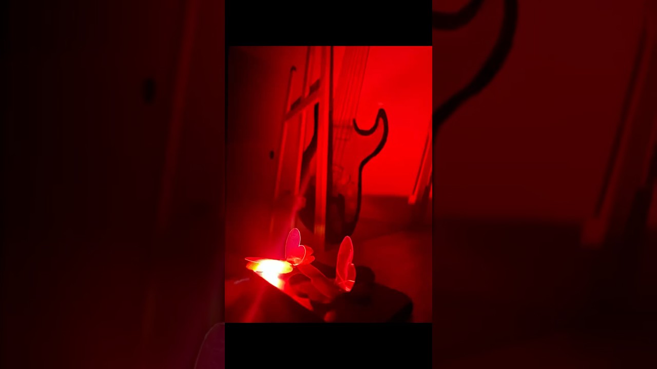 Video Hologram 3D🦋🐠