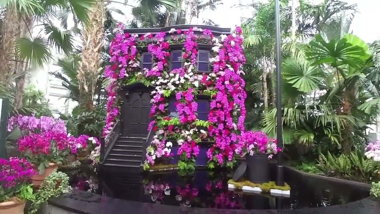 NY Botanical Garden  02/ 2026