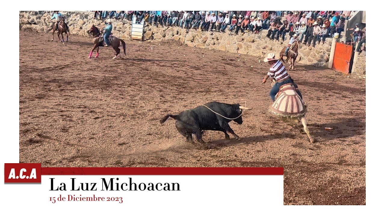 Llegaron dos de las mejores ganaderías de Michoacán ala Luz Michoacan
