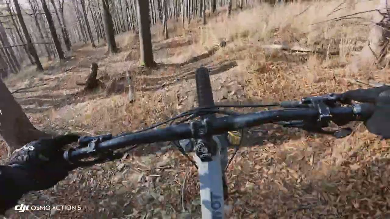 #17 (2) | Cyber DH (wariant 2) |  MTB Enduro Bielsko-Biała | Cyberniok | Beskid Śląski | 2025