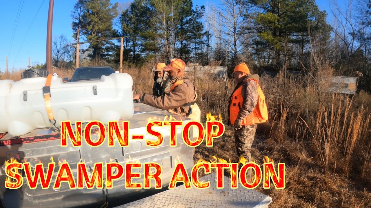 NON-STOP SWAMPER ACTION LITTLE FARM AND LITTLE APPLE BEAGLES HUNT JANUARY 2026 Part 1