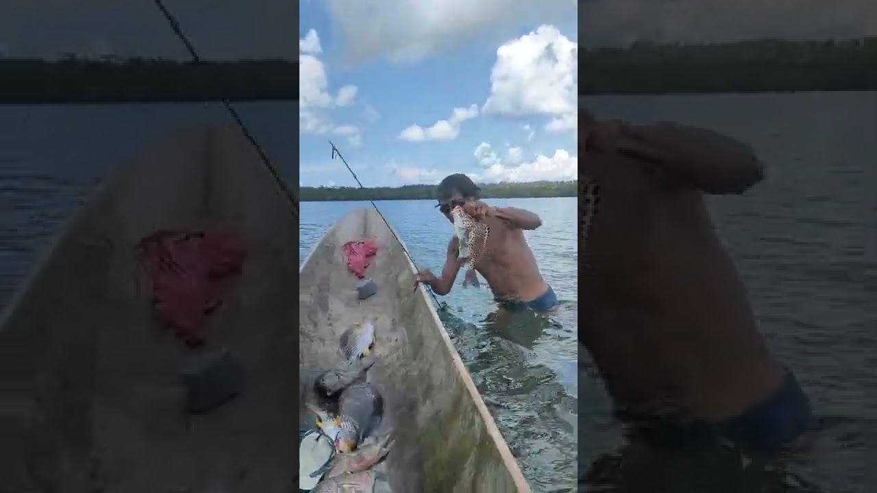 Bajubi Ikan Besar