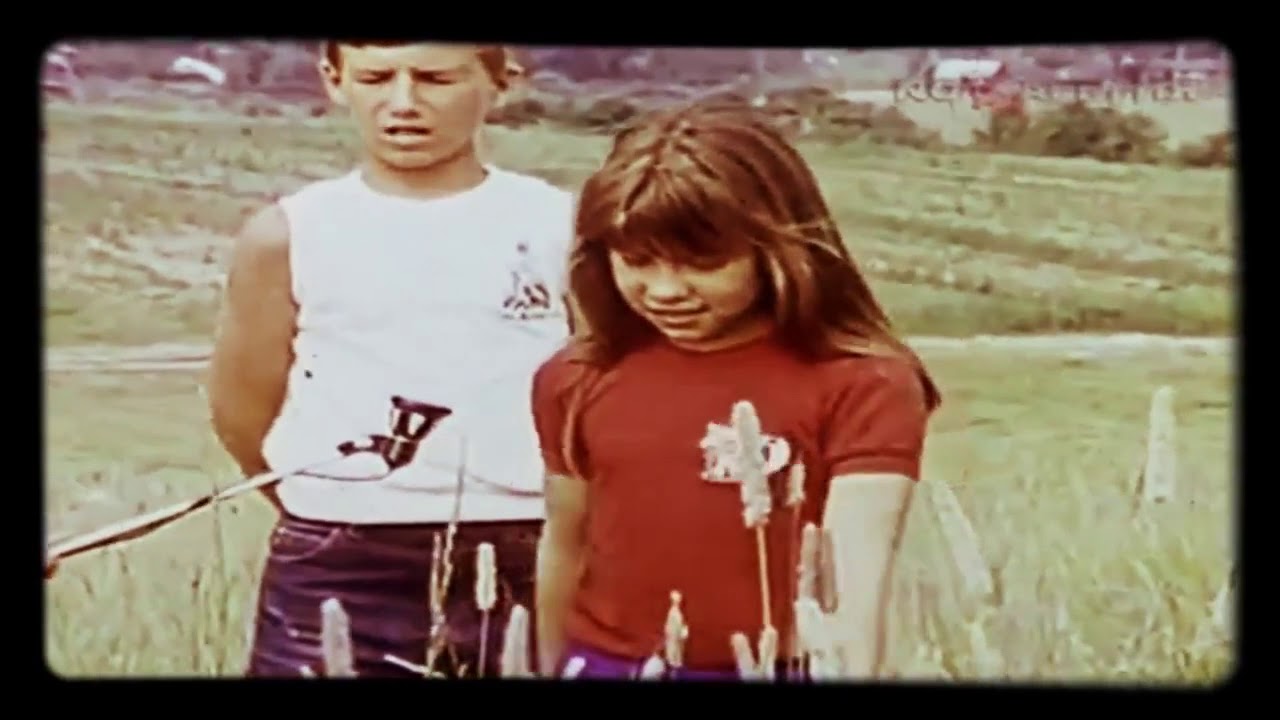 Харовский феномен. Посадка НЛО с выходом существа в г. Харовске в 1989 году. (Вологодская обл.)
