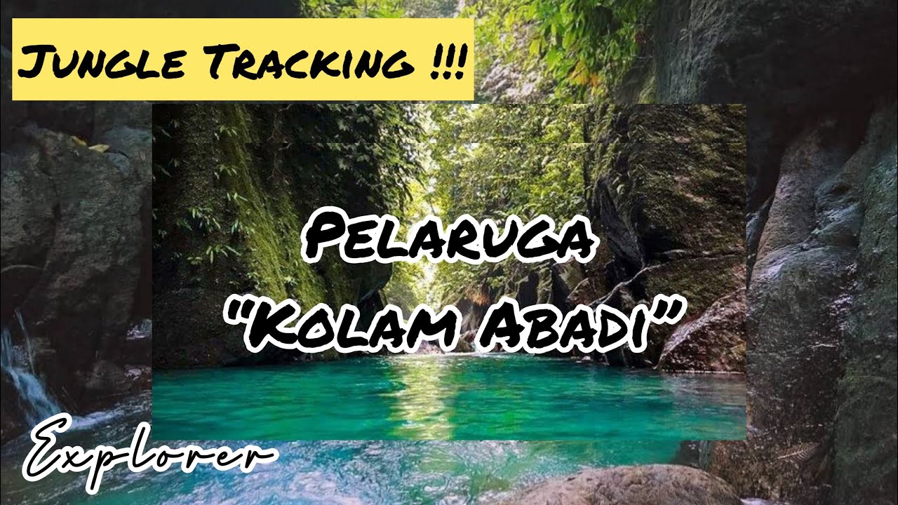 Jungle Tracking &ldquo;Pelaruga&rdquo; Kolam Abadi, Kab. Langkat Sumut. #Kolamabadi #Pelaruga