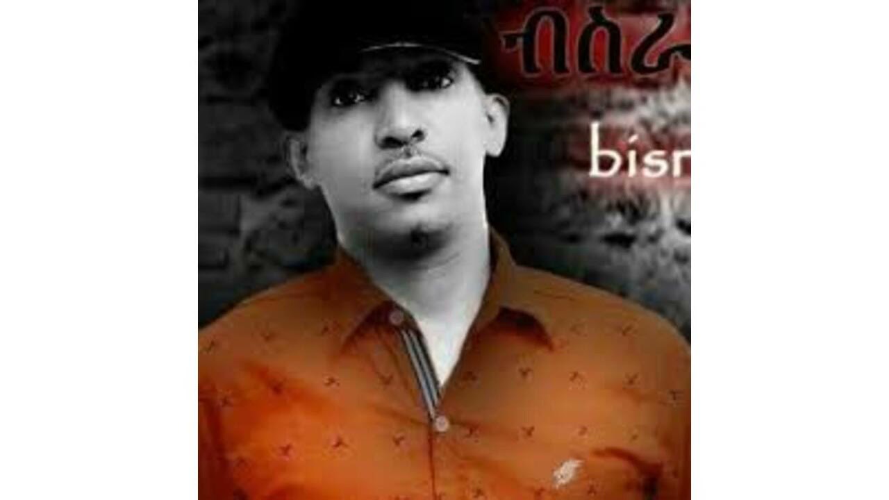alehu Bisrat Garedew