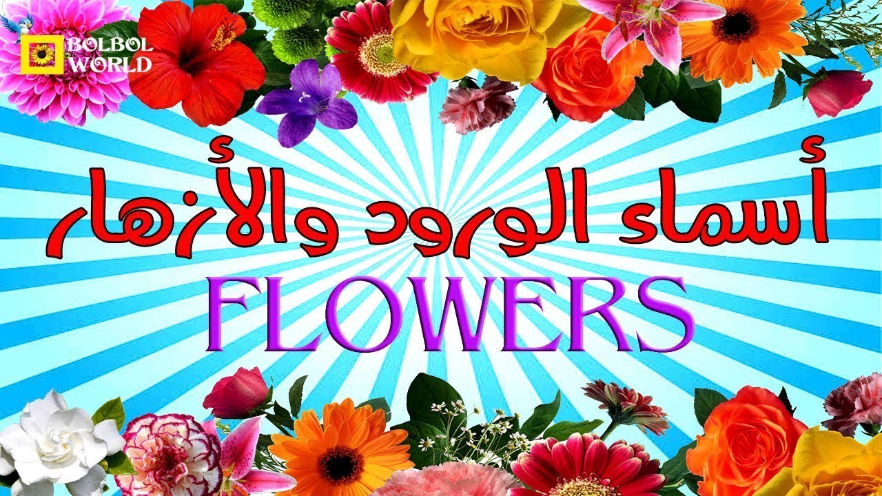أسماء الازهار بالعربية والانجليزي