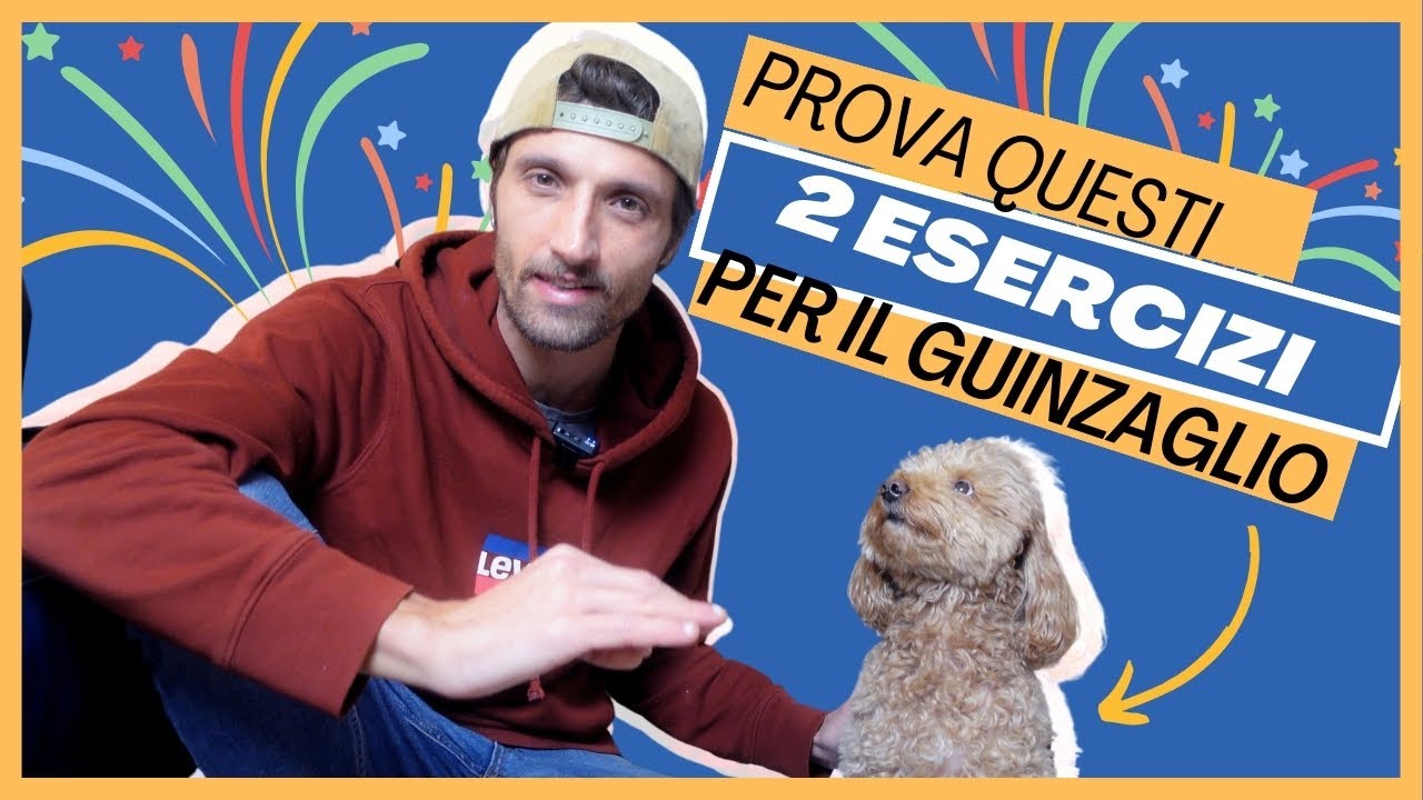 Insegnare al CANE a NON TIRARE IL GUINZAGLIO - 2 Esercizi Bonus - Lezione 13