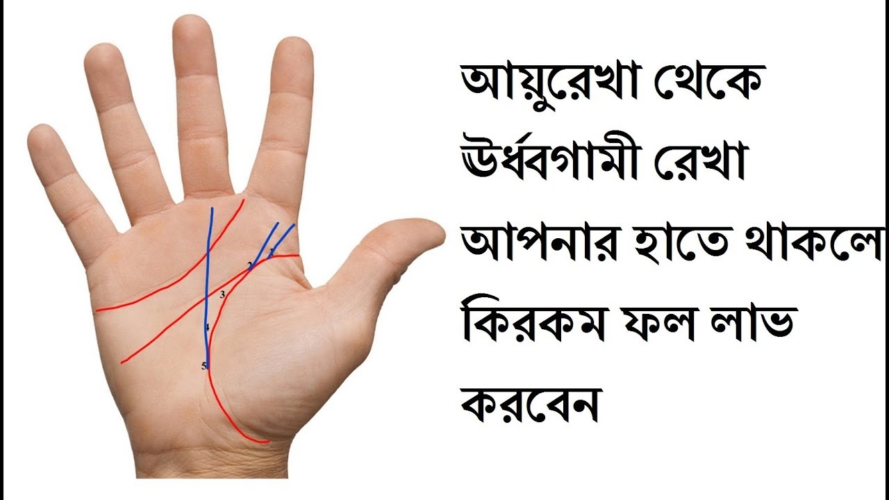 আয়ুরেখা থেকে ঊর্ধ্বগামী রেখা আপনার হাতে থাকলে কিরকম ফল লাভ করবেন । হস্তরেখা বিচার।ডাঃ সুবোধ লাল সাহা