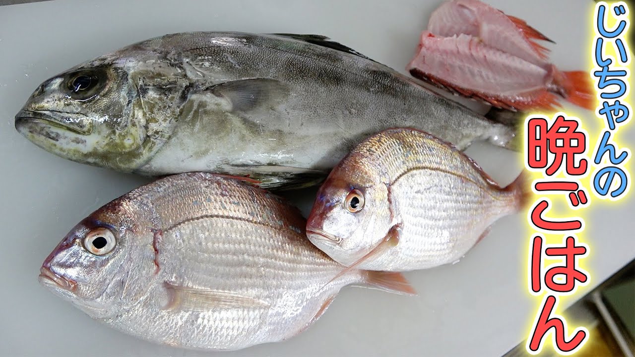 【爺ちゃんの晩ご飯】今が旬のチダイとアイブリを捌いて、魚の煮付け定食を作ったよ！料理は適当に作るほうが美味しいね！
