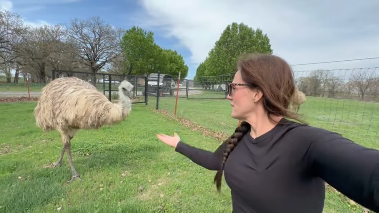What Really Happens Behind The Scenes At My Farm? @JustMeMarie