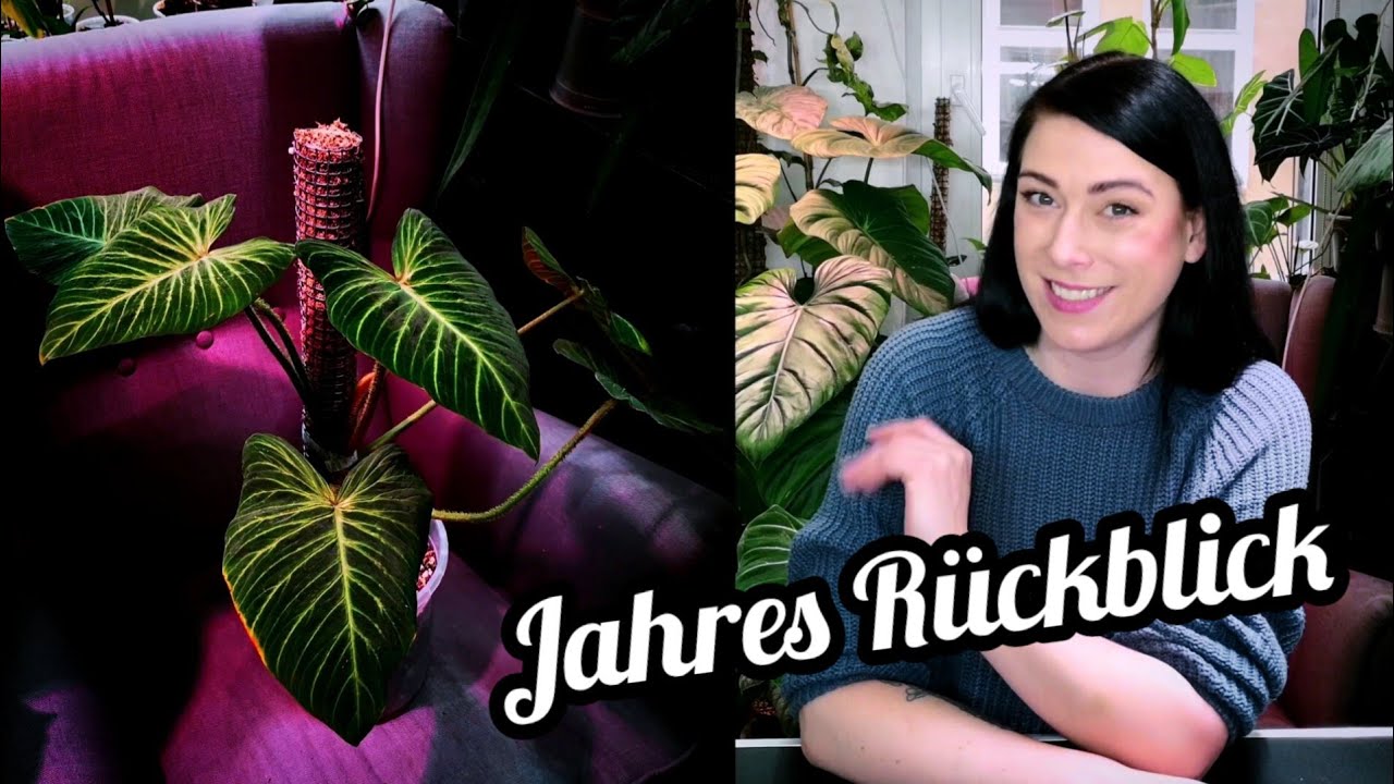 Meine 10 liebsten Pflanzen / verspäteter Jahresrückblick