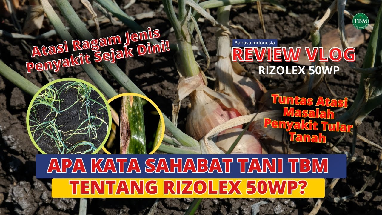 Apa Kata Sahabat Tani Tentang Produk TBM? - REVIEW VLOG EP. 9