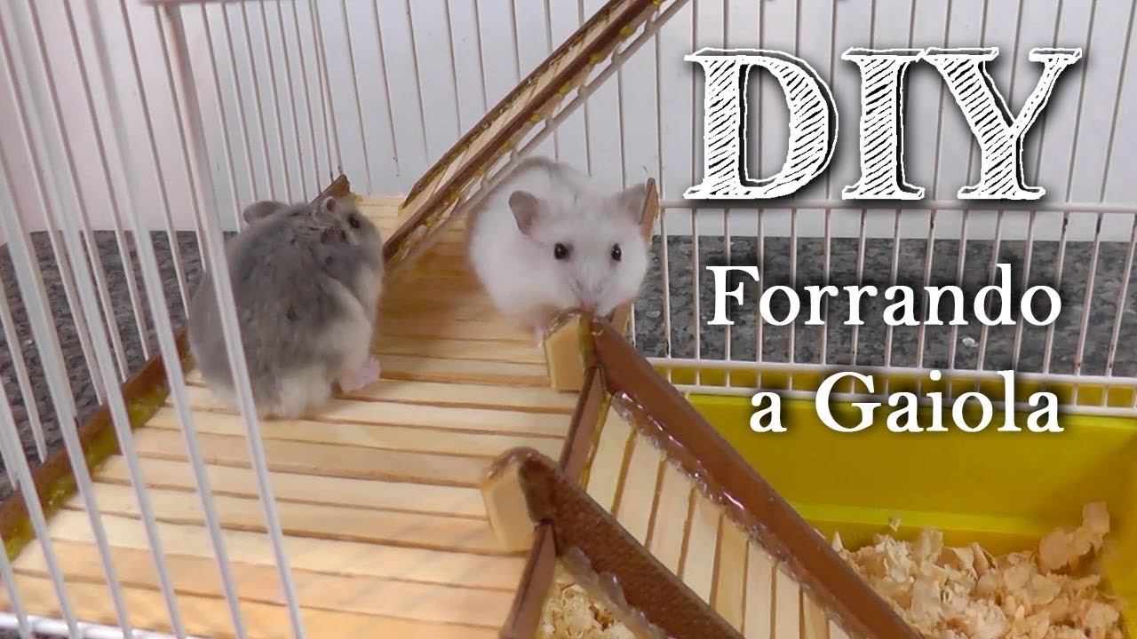 Forrando a Gaiola dos Hamsters