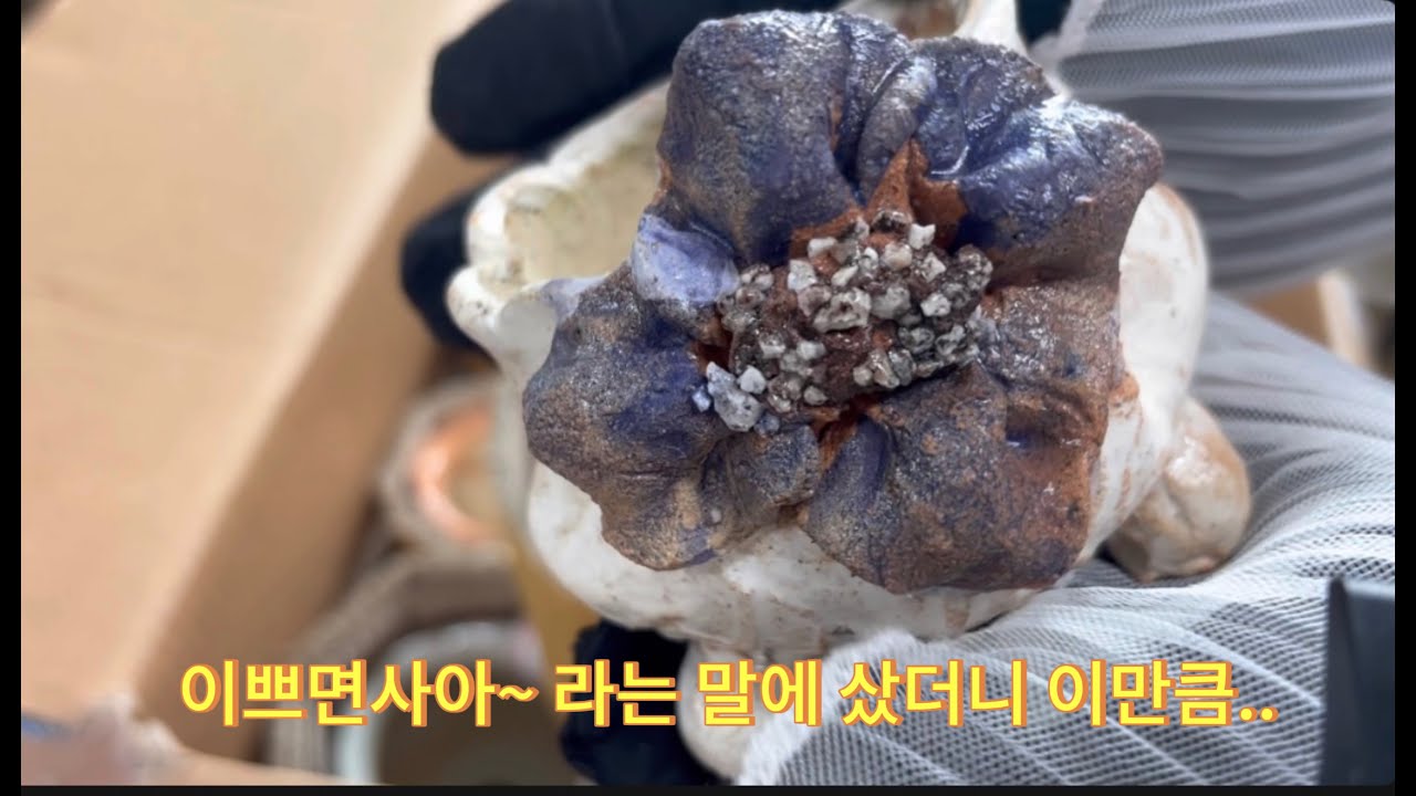 잔잔한 화분언박싱 1편