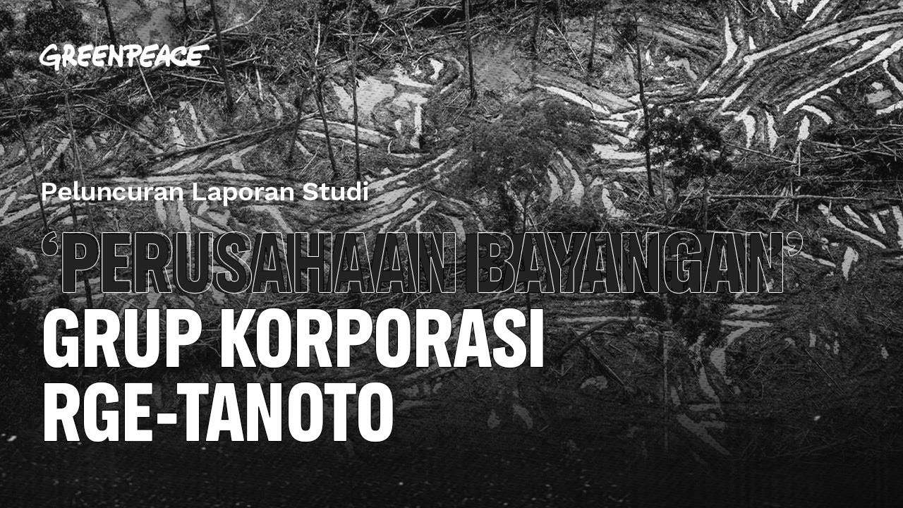 'Perusahaan Bayangan' Grup Korporasi RGE-Tanoto