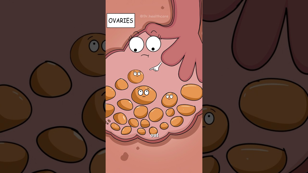 Why Exactly You Miss Your Period?