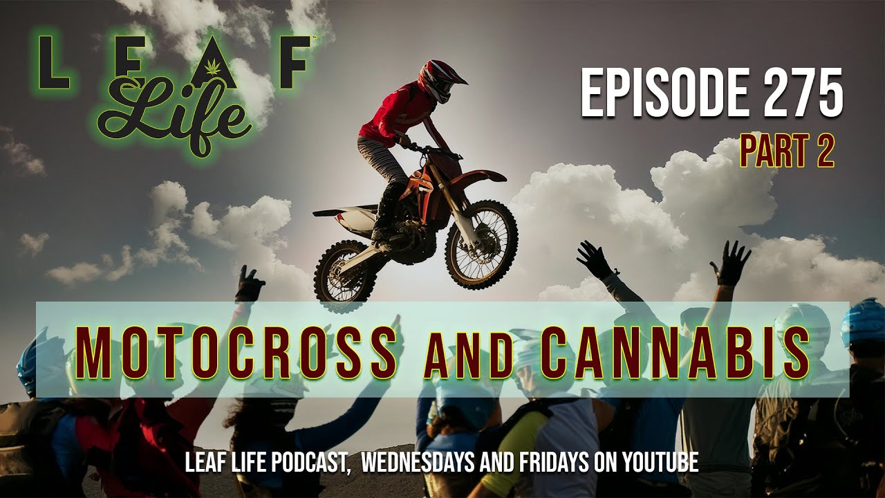 MOTOCROSS AND CANNABIS - Leaf Life 275 - Part 2