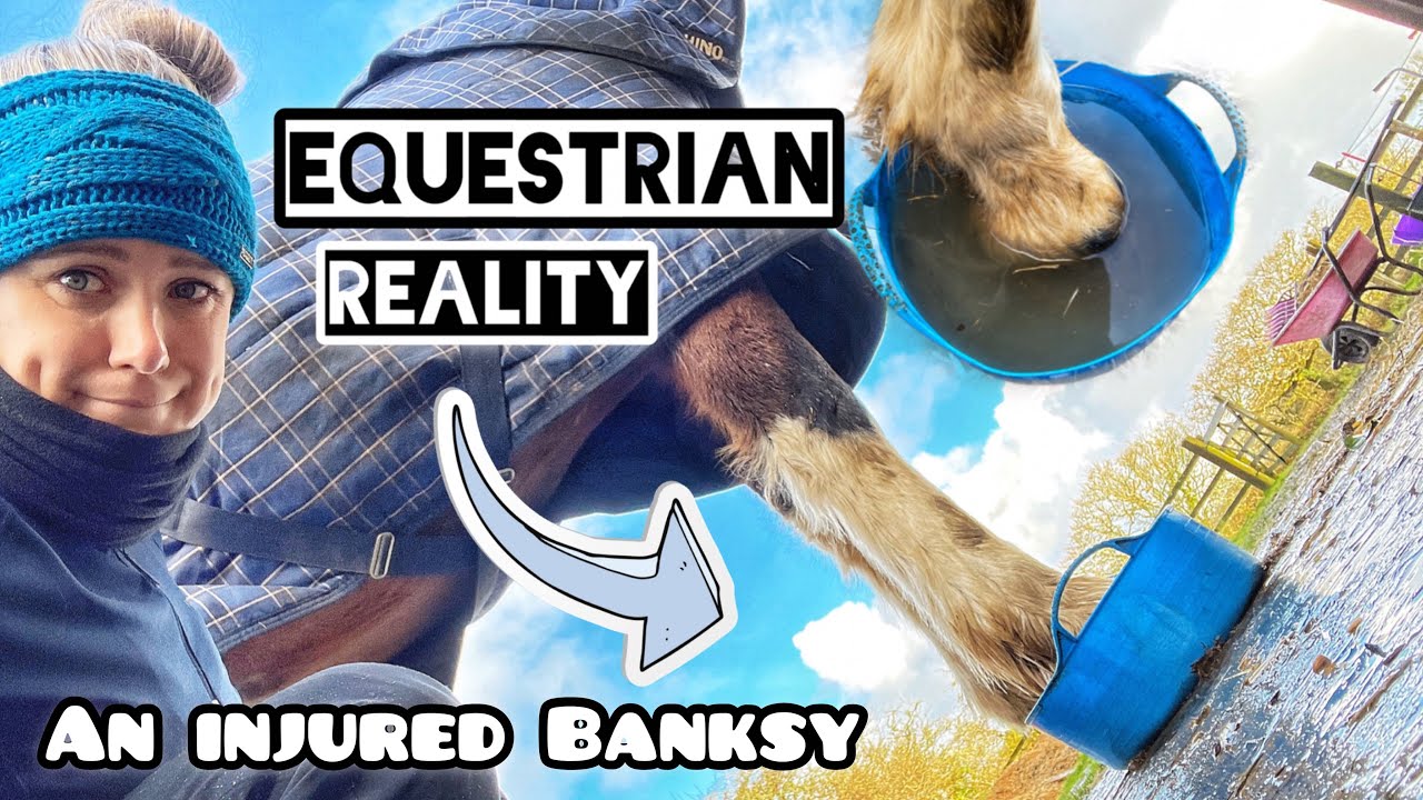 THE REALITY OF EQUESTRIAN LIFE | An injured Banksy