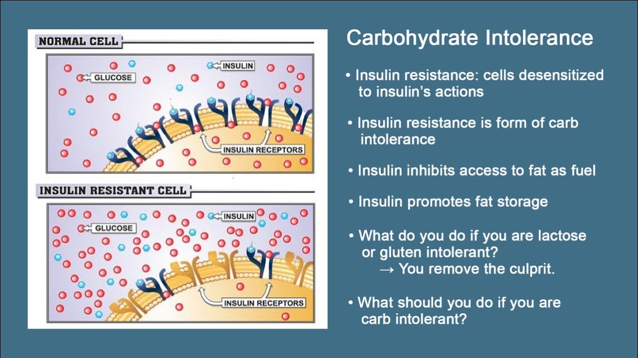 Healthy Living - Carb Intolerance, Part 1